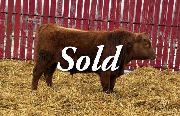 red crnl 42k nixon 24n