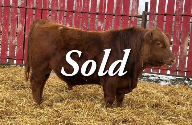 red crnl 32h nelson 78n