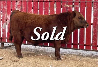 Red CRNL 42K meatball 26M