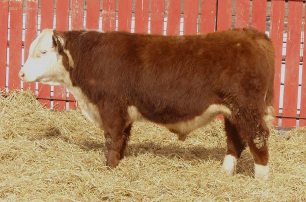 crnl 10f louisville 36l